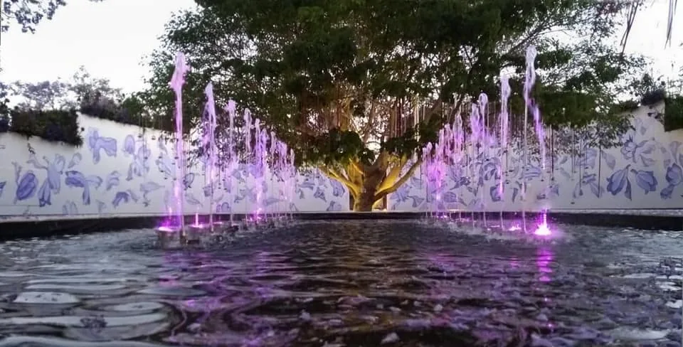 Specify water features with technical confidence